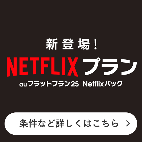 NETFLIXプラン